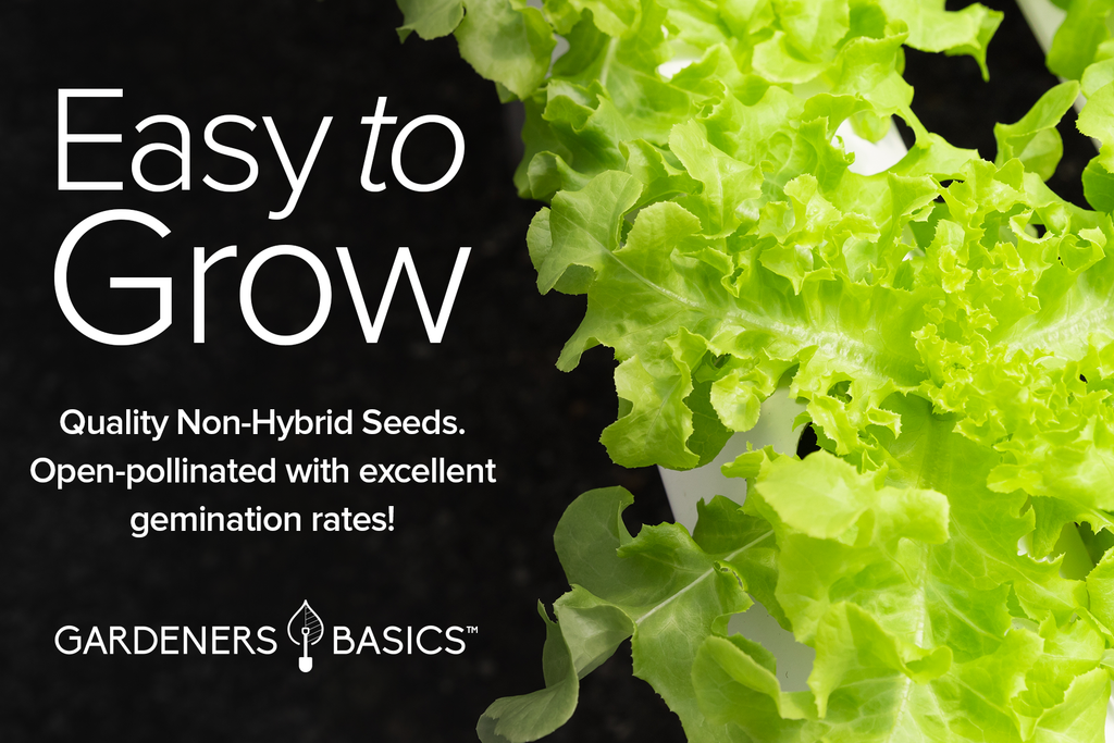 Hydroponic Seeds for Planting: Delicious, Nutritious, and Easy to Grow