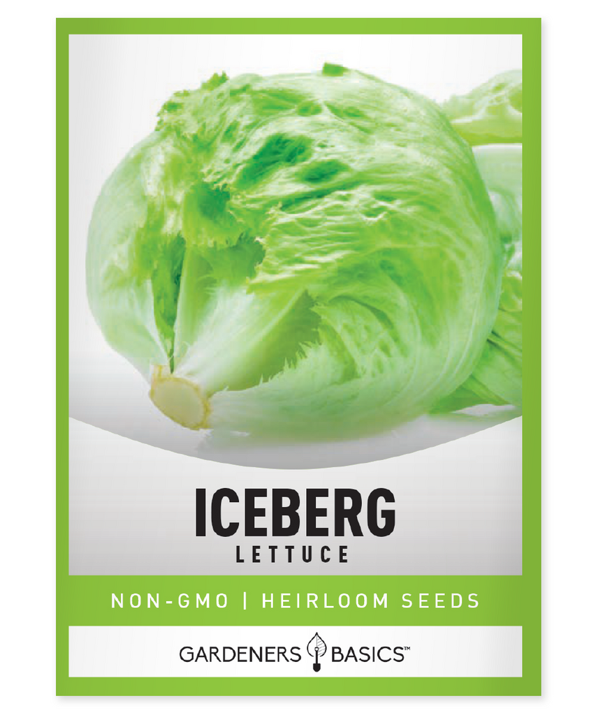 Iceberg Lettuce Seeds Planting Iceberg Lettuce Grow Your Own Lettuce Lettuce Seeds for Planting Homegrown Iceberg Lettuce Fresh, Crisp Lettuce Non-GMO Lettuce Seeds Organic Gardening Container Gardening Salad Greens Nutrient-Rich Lettuce Easy-to-Grow Lettuce High Germination Rate Seeds Healthy, Tasty Greens Iceberg Lettuce Harvest Garden Salad Staples Urban Gardening Bountiful Lettuce Harvests Fast-Growing Lettuce Lettuce Care and Maintenance