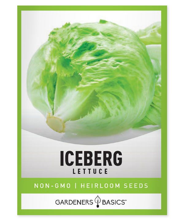 Iceberg Lettuce Seeds