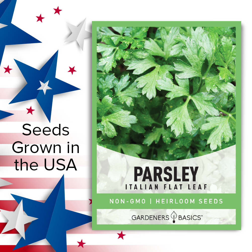 Italian Flat Leaf Parsley Seeds: Perfect for Home Chefs & Gardeners