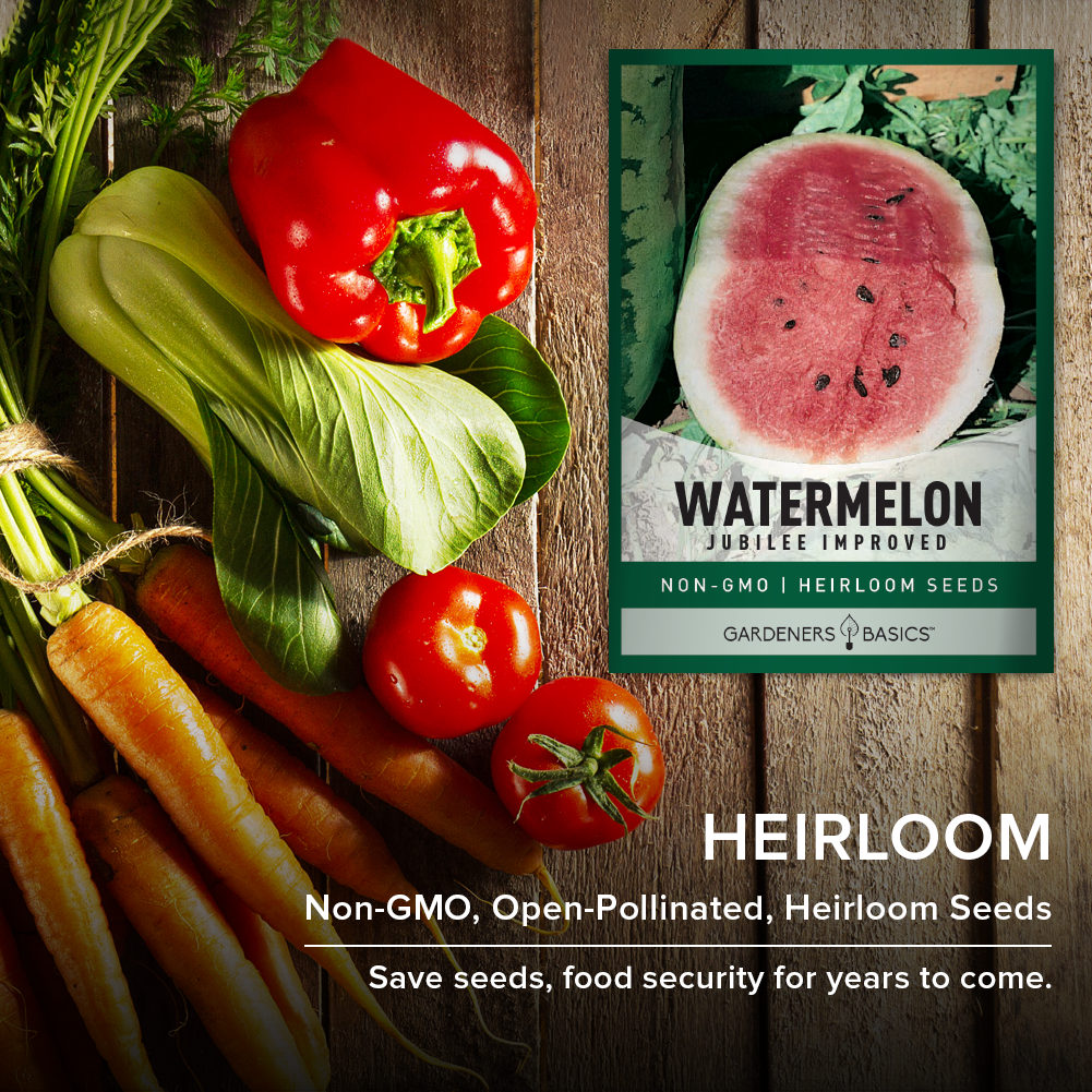 Sow the Seeds of Summer Fun with Jubilee Improved Watermelon Seeds