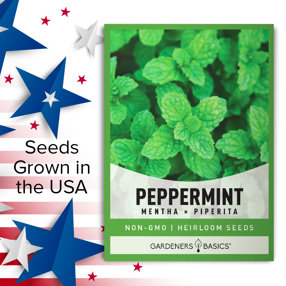 Cultivate Your Own Peppermint Plants: Seeds for Success