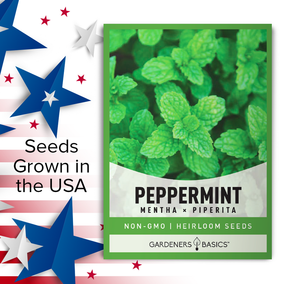 Heirloom Peppermint Seeds