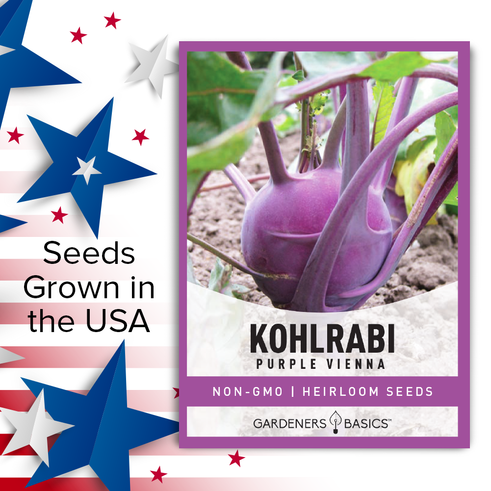 Boost Your Garden's Appeal with Purple Vienna Kohlrabi Seeds