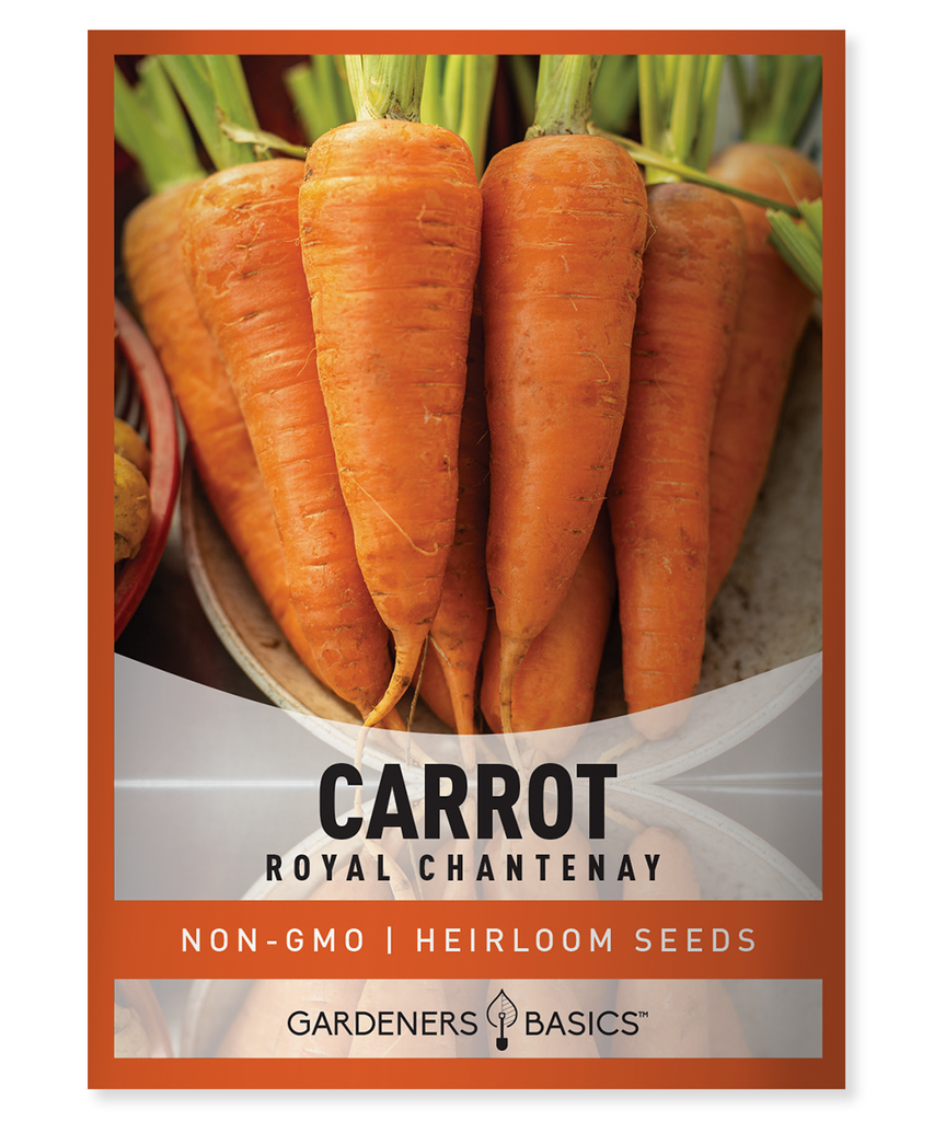 Royal Chantenay Carrot Seeds Heirloom carrot seeds Non-GMO seeds Vegetable garden seeds Home gardening Carrot seeds for planting Nutrient-rich carrots High-yield carrot variety Easy-to-grow carrots Garden seeds for sale Backyard gardening Container gardening Carrot seeds online Sustainable gardening Healthy garden vegetables Crunchy, sweet carrots Gardening supplies Gardening gift ideas Orange carrot seeds Royal Chantenay Carrots