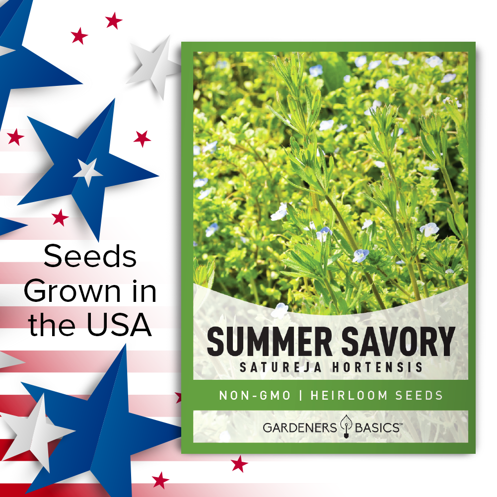 Summer Savory Seeds for Planting: Perfect for Gardeners of All Levels