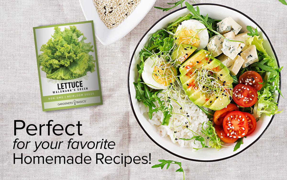 Unleash Your Green Thumb with Waldmann's Green Leaf Lettuce Seeds for Planting