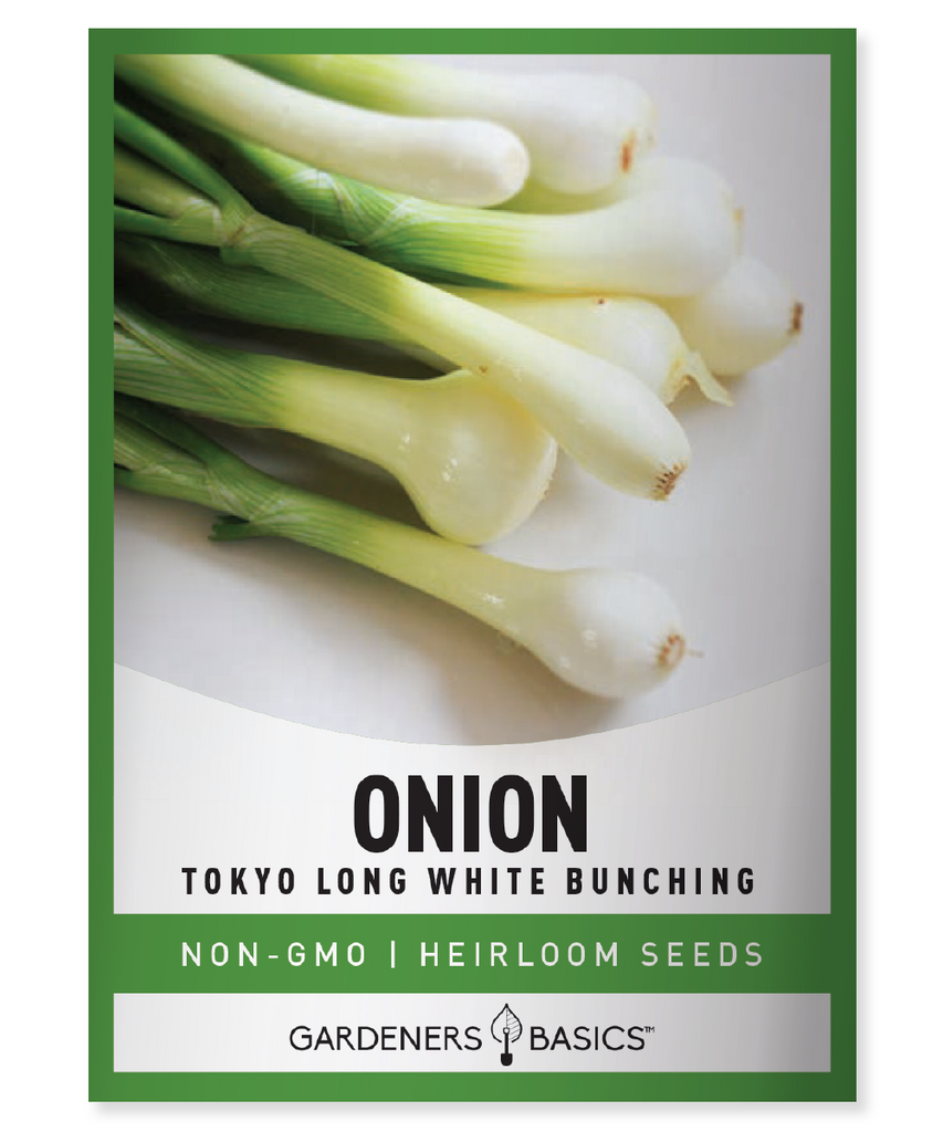 Tokyo Long White Bunching Onion Seeds For Planting Non-GMO Seeds For Home Vegetable Garden