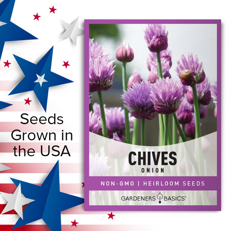 Onion Chives: The Gardener's Guide to Planting, Growing, and Harvesting