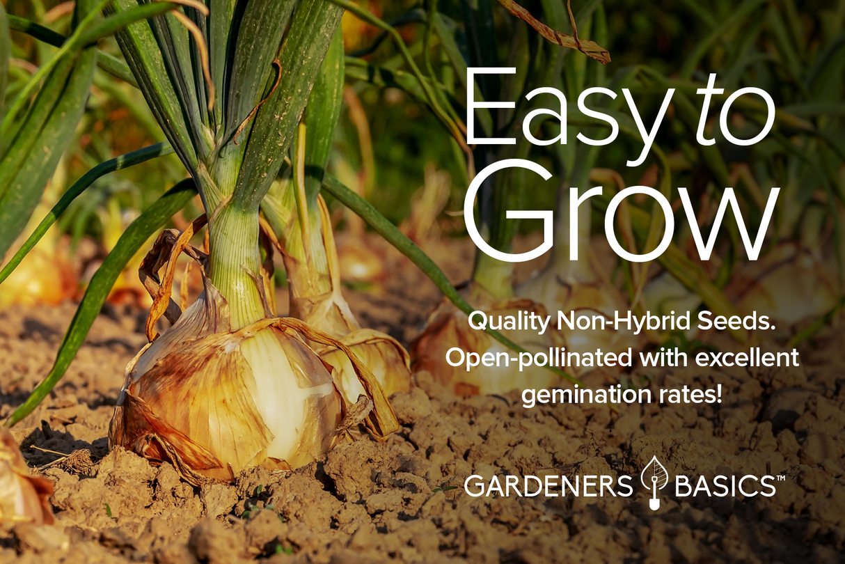 Onion Seed Assortment | 8 Variety Pack