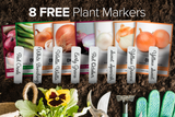 Onion Seed Assortment | 8 Variety Pack