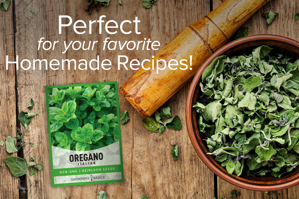 Italian Oregano Seeds For Planting Non-GMO Seeds For Home Herb Garden Homemade Recipes
