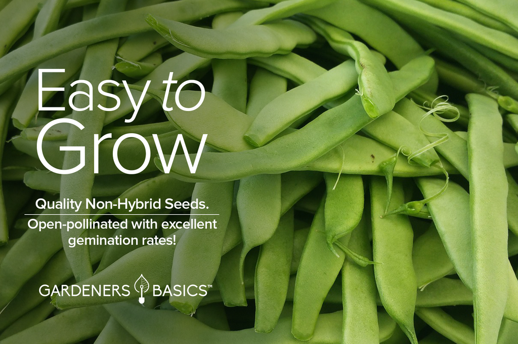 Garden to Table: Oregon Giant Pea Seeds for Superior Homegrown Peas