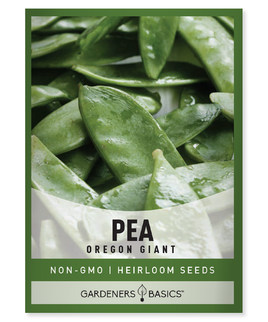 garden pea seeds for sale Oregon Giant Pea Seeds
