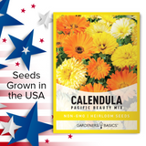 Fall Blooming Flowers: The Beauty of Pacific Beauty Mix Calendula