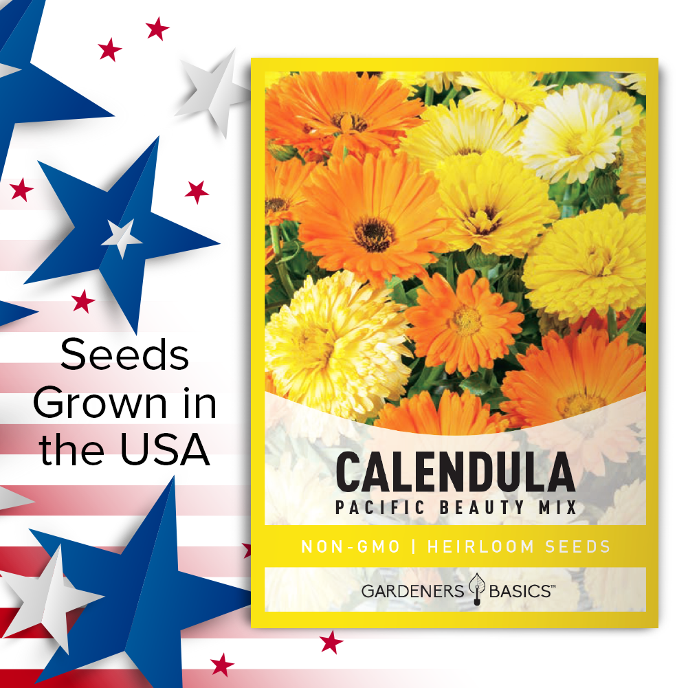 Fall Blooming Flowers: The Beauty of Pacific Beauty Mix Calendula