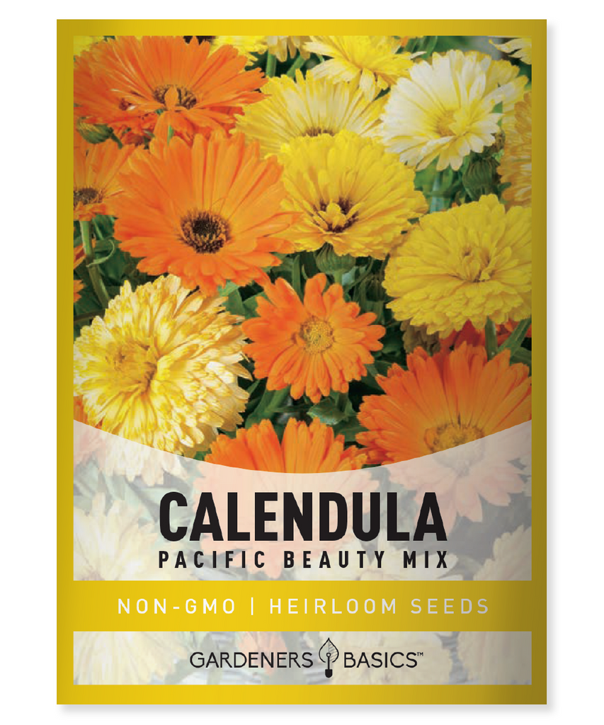 Calendula officinalis Pacific Beauty Mix Calendula Pot Marigold Mixed Colors Annual Full Sun Moderate Moisture 12-24 inches tall Fall Blooming Flowers Edible petals Culinary uses Medicinal uses Garden design Pollinator garden Natural skincare Herbal medicine