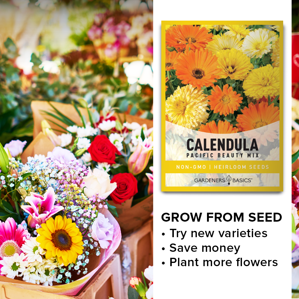 edible beauties flower mix seeds Calendula Pacific Beauty Mix Seeds for Sale