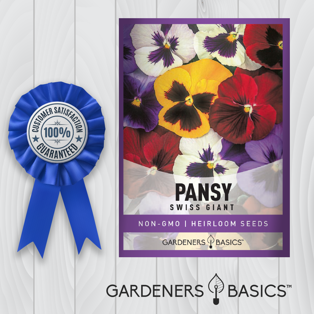 Plant Pansy Swiss Giants Mix and Watch Your Garden Come to Life