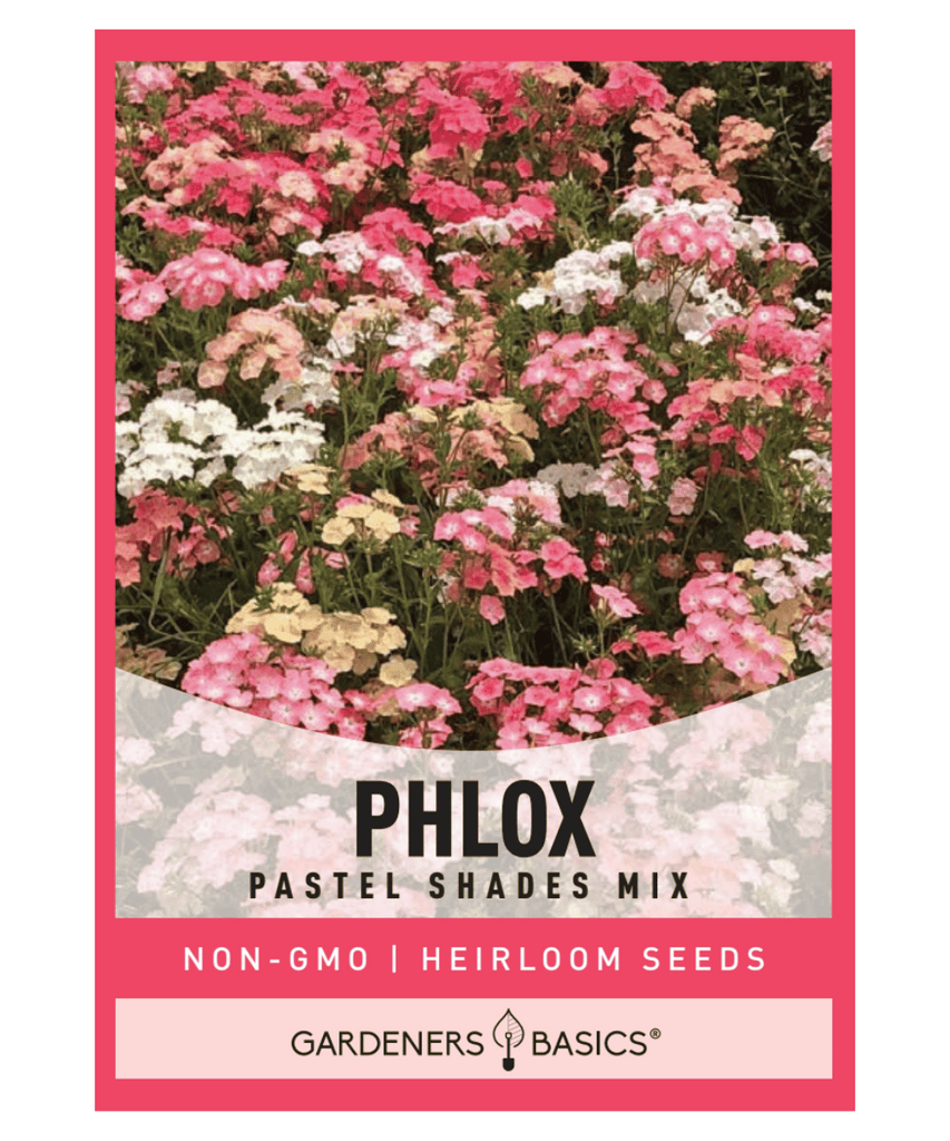 Pastel Phlox Seeds, Phlox Drummondii, Phlox Pastel Shades Mix, Annual Blooms, Summer and Fall Flowers, Full Sun Flowers, Drought-Tolerant Plants, Garden Seeds, Soft Colored Flowers, Flower Seeds for Planting, Border Plants, Container Plants, Wildflower Mixtures, Showy Blooms, Muted Colors