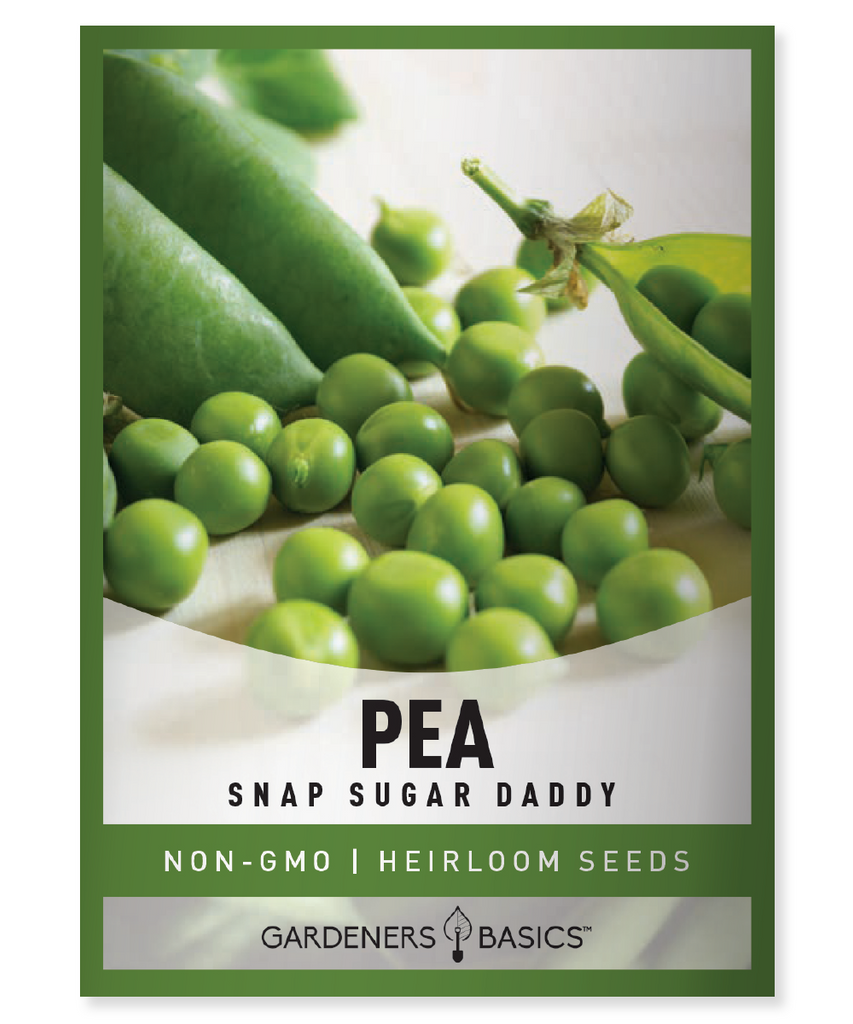 Snap Sugar Daddy Pea Seeds For Planting Non-GMO Seeds For Home Vegetable Garden