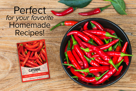 Cayenne Pepper Seeds For Planting Non-GMO Seeds For Home Vegetable Garden Homemade Recipes