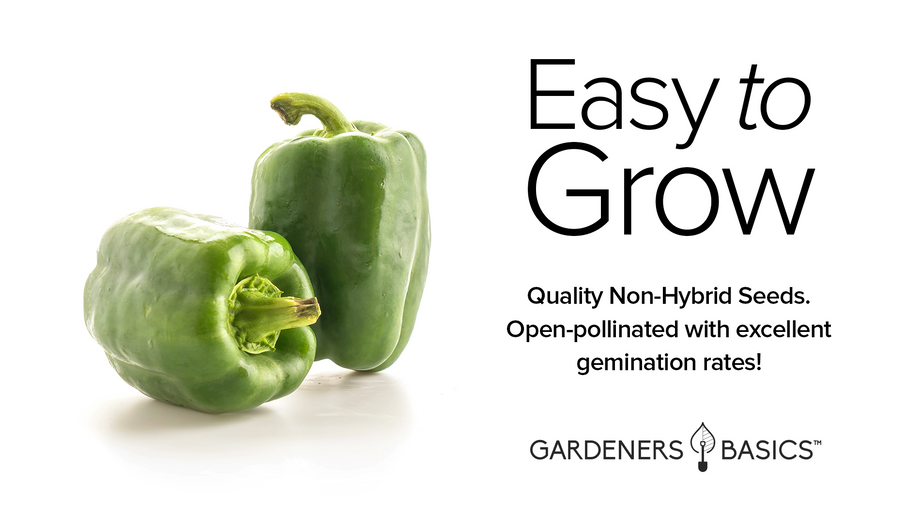 planting green bell pepper seeds Sweet California Wonder Bell Pepper Seeds – Gardeners Basics