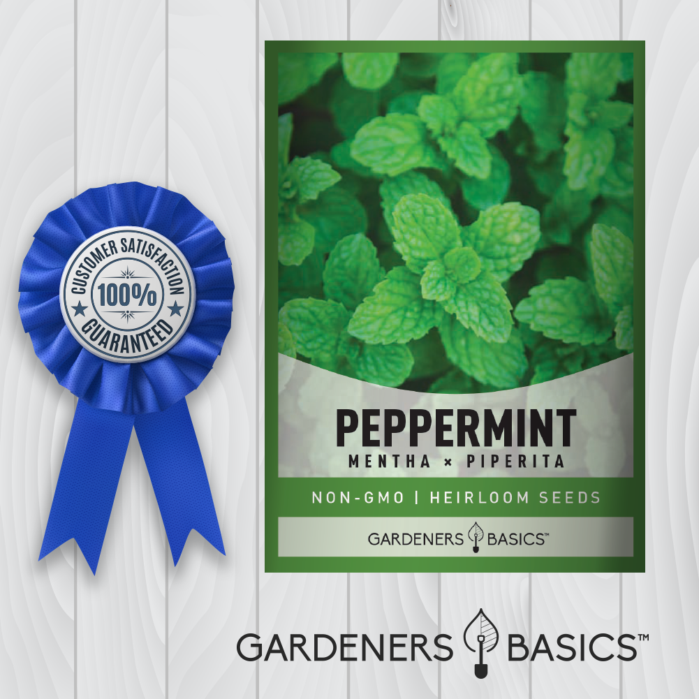Aromatic and Flavorful Peppermint Seeds for Your Green Sanctuary