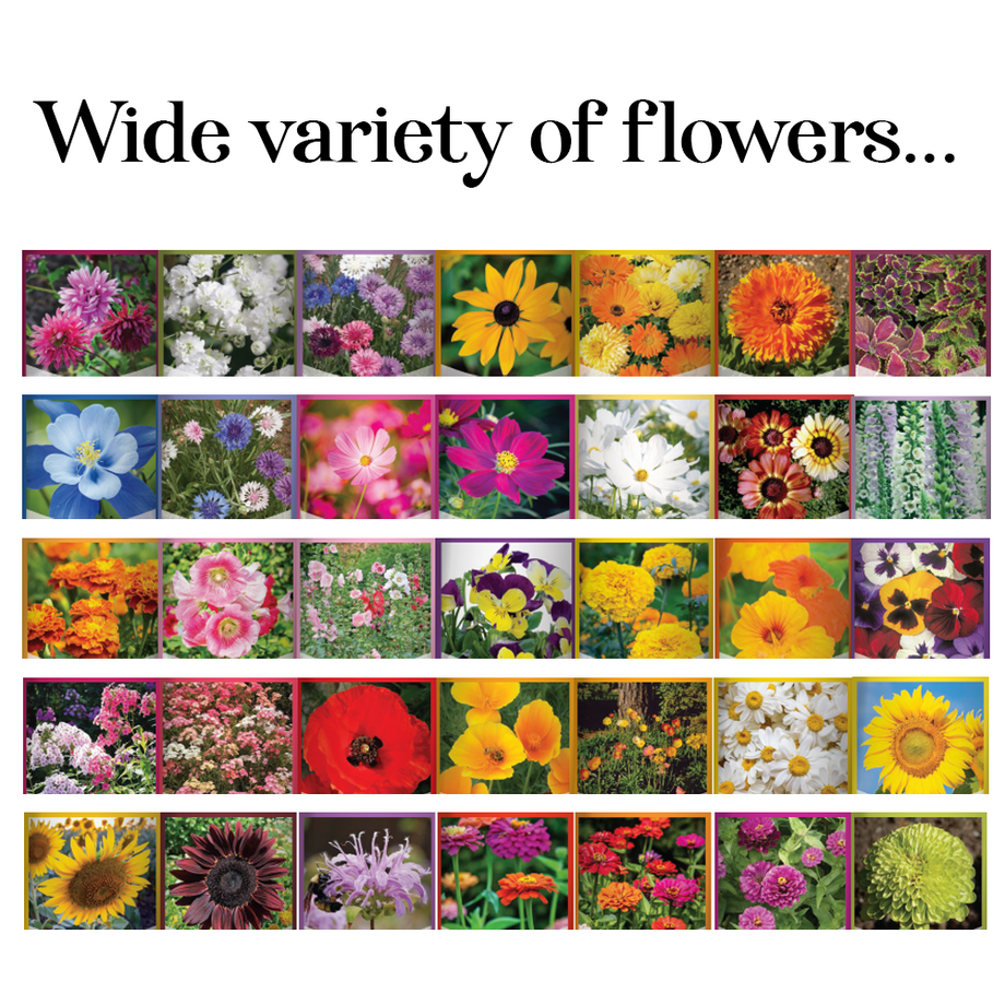 garden flower seeds Wildflower, Perennial, Annual Flower Seed Kit