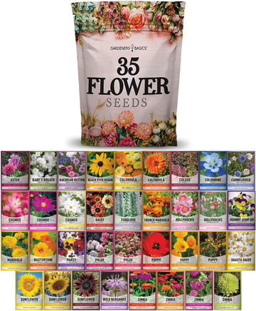 Perennial Flower Seeds for Planting: A Diverse Collection of Long-Lasting Blooms