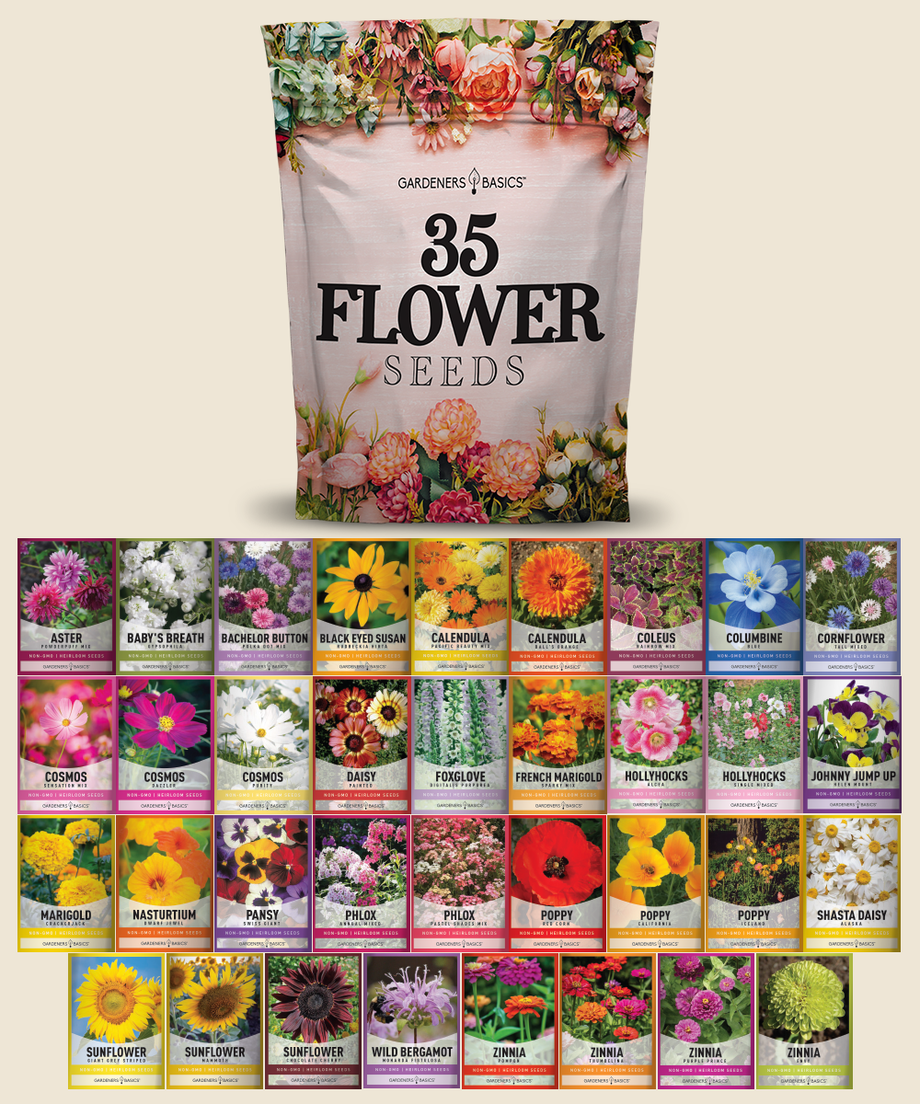 three houses flower seeds Wildflower, Perennial, Annual Flower Seed Kit