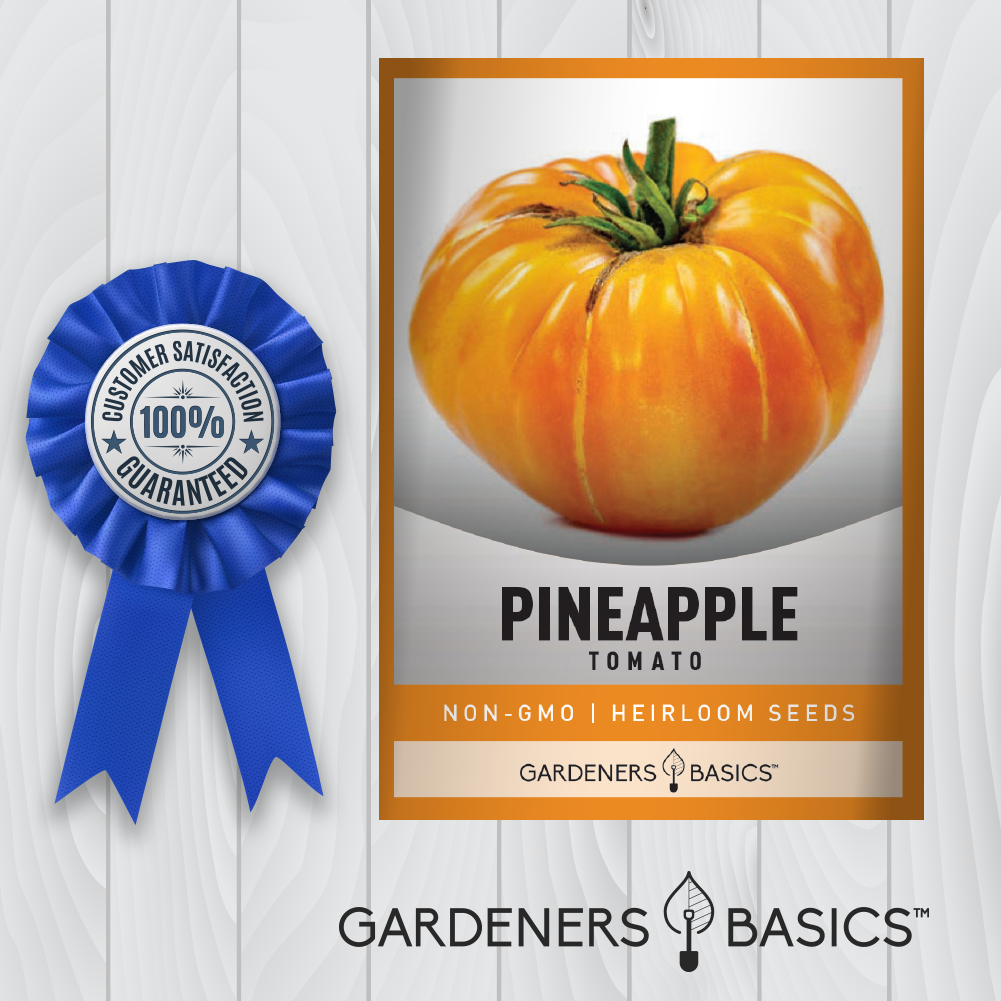 Pineapple Tomato Seeds: The Perfect Blend of Sweetness and Acidity in Your Garden