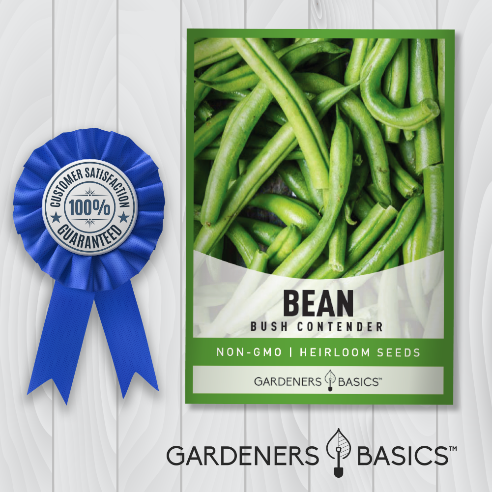 green beans seeds for planting Bush Contender Bean Seeds: Fast-Growing & Delicious Green Beans