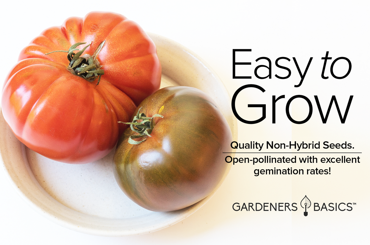 Taste the Difference: Cherokee Purple Tomato Seeds for Planting
