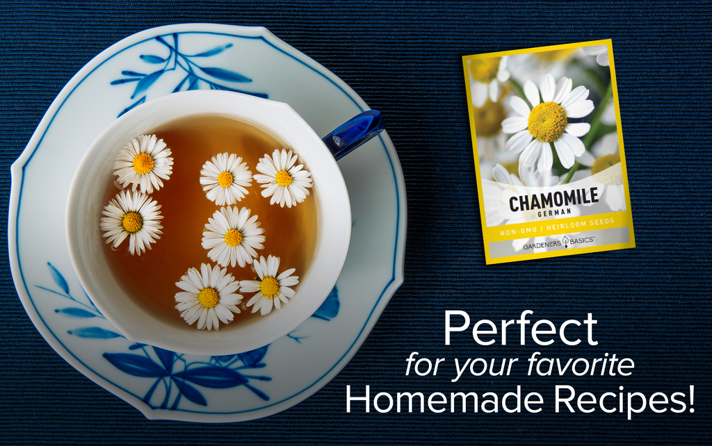 German Chamomile Seeds: Plant the Seeds of Relaxation and Well-being