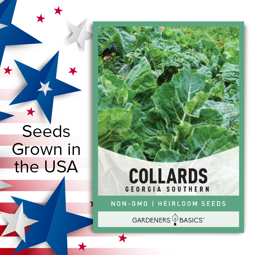 Georgia Southern Collards: The Perfect Addition to Your Culinary Garden