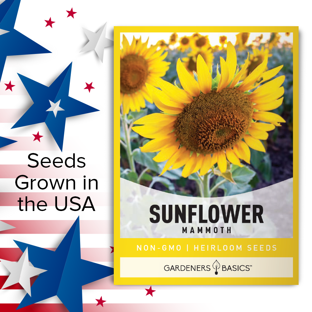 Achieve Garden Greatness with Mammoth Sunflower Seeds