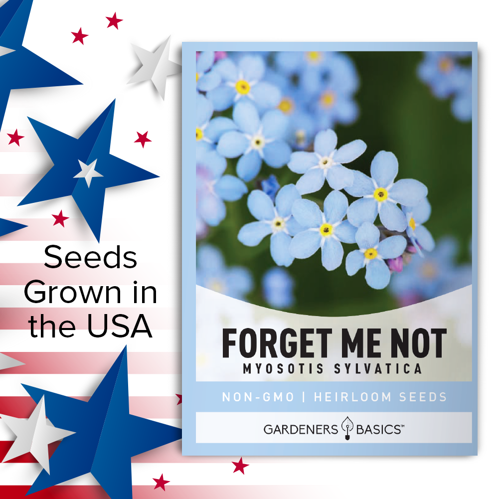 plant your seed in me Forget Me Not Flower Seeds for Planting