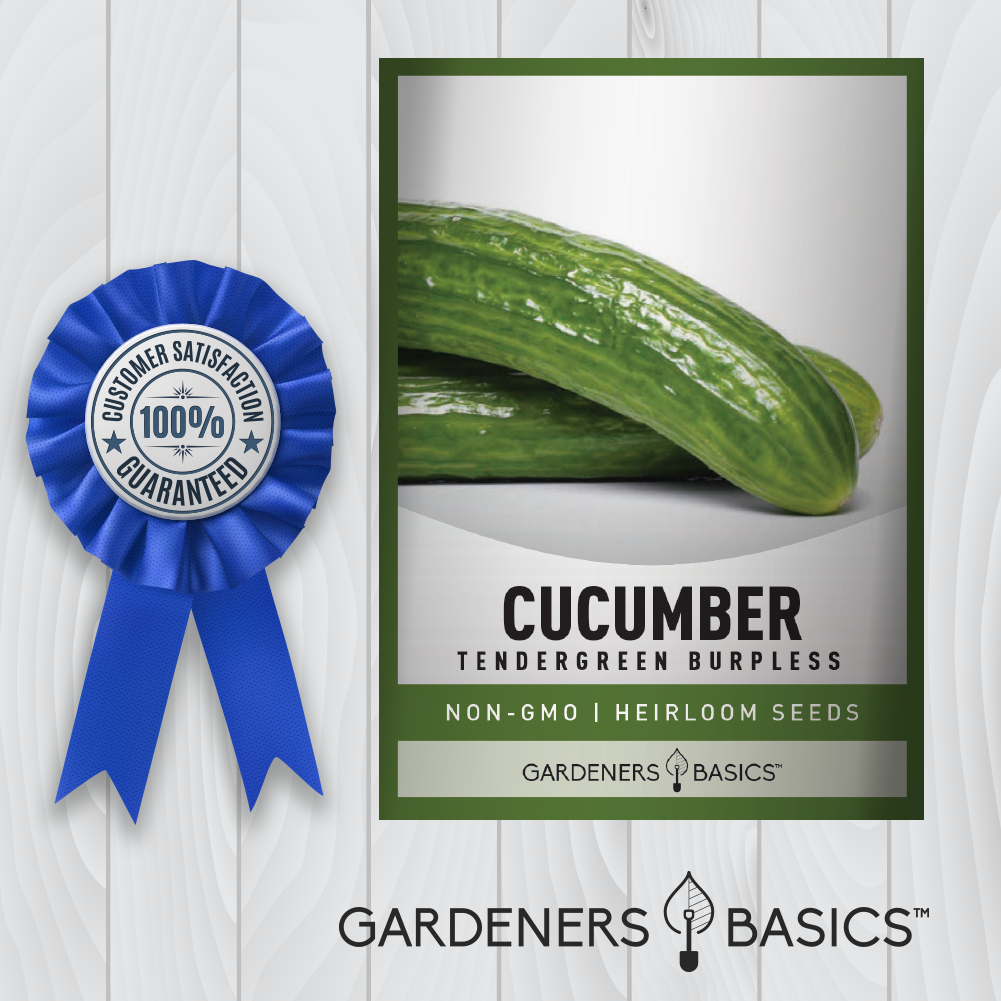 Tendergreen Burpless Cucumber Seeds: The Ultimate Choice for Gardeners
