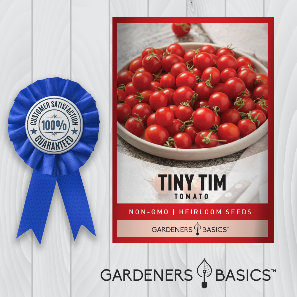 The Ultimate Guide to Growing Tiny Tim Tomatoes in Containers