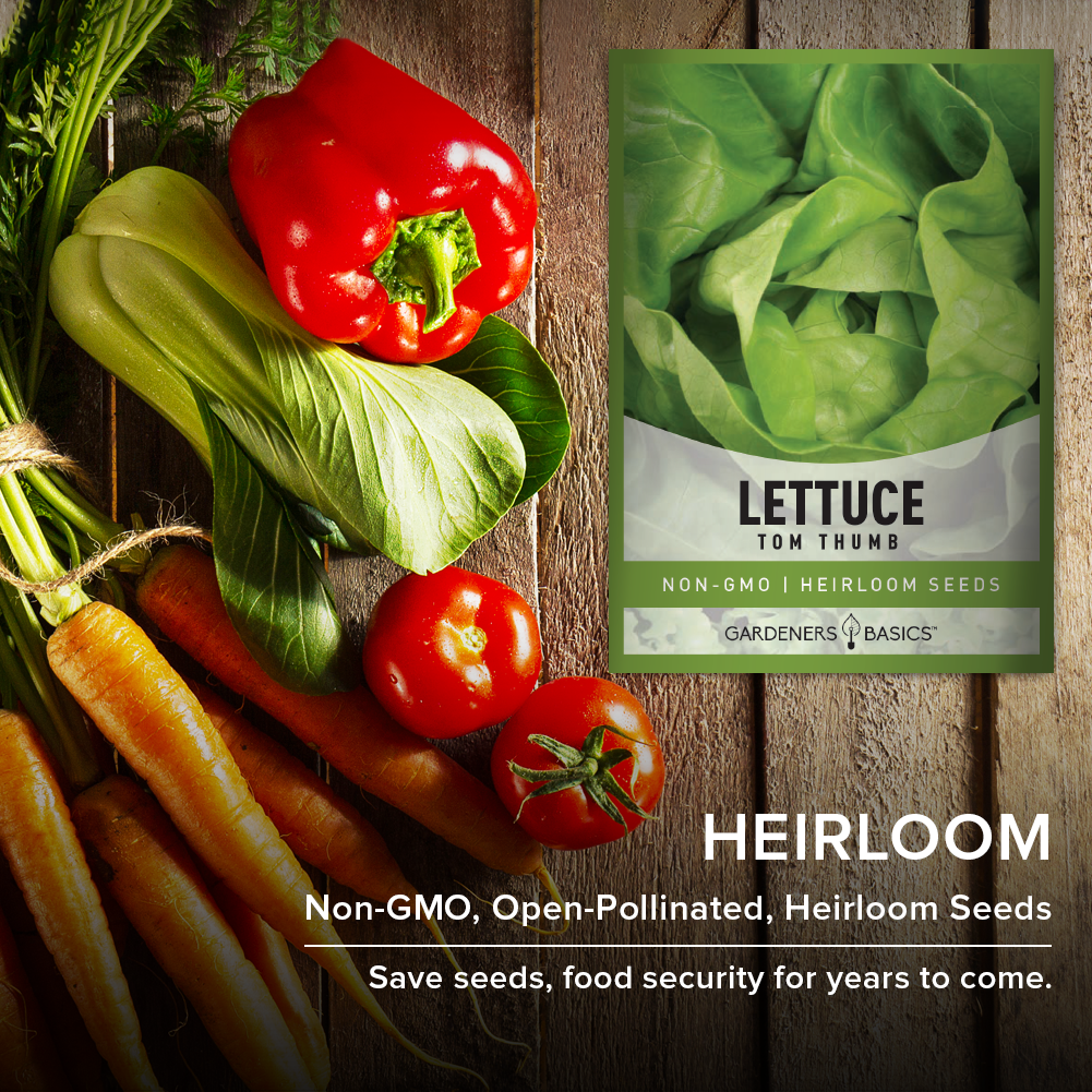 Plant a Legacy with Heirloom Tom Thumb Lettuce Seeds
