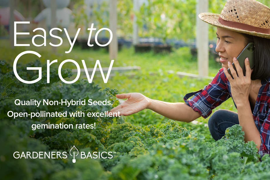 non hybrid garden seeds 5 Power Greens Seeds Pack – Heirloom, Non-GMO, Kale, Spinach & More! – Gardeners Basics