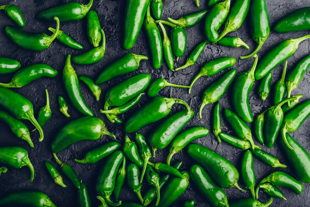 Premium Jalapeño Tam Seeds: Grow Fiery Flavors in Your Garden