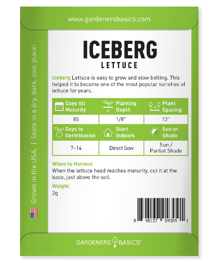 Iceberg Lettuce Seeds: Grow Your Own Salad Staple
