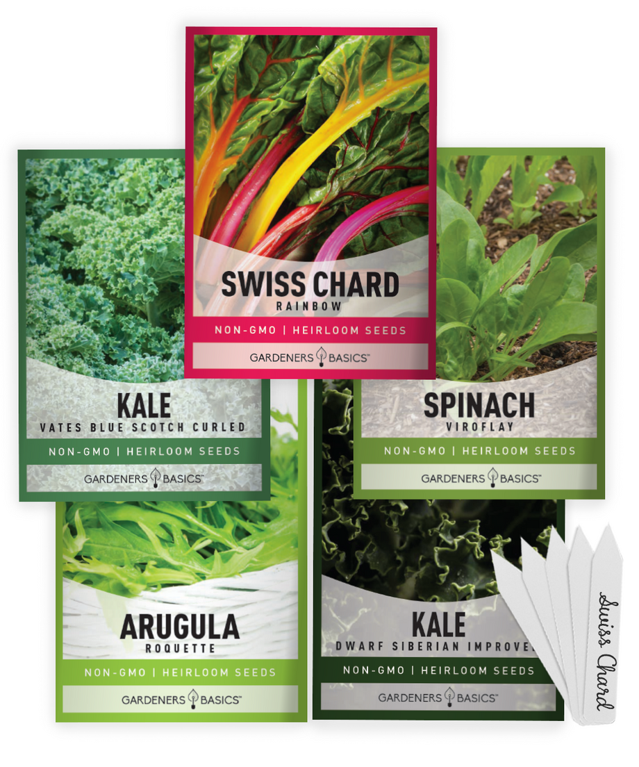veggie plant seeds Power Greens Seeds for Planting Individual Packets 5 Variety Pack
