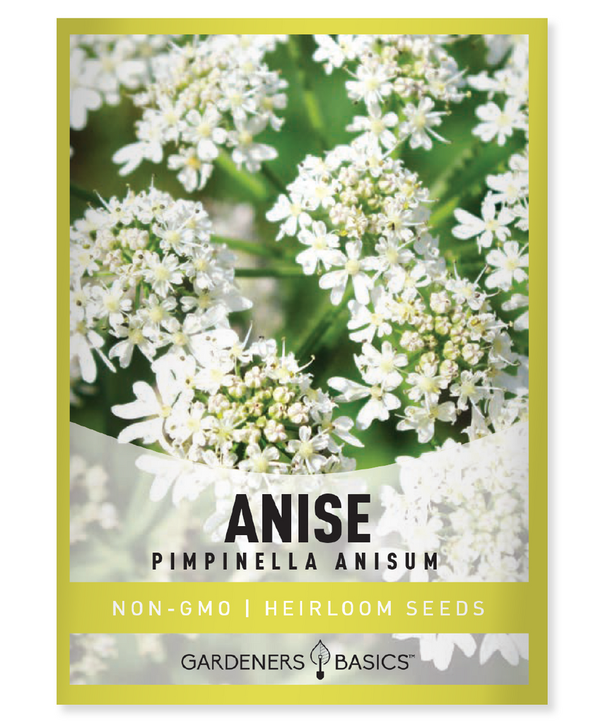 Anise Seeds, Planting, Organic, Non-GMO, High Germination, Aromatic, Flavorful, Medicinal, Home Garden, Culinary, Pimpinella anisum, Licorice Flavor, Gardening, Sustainable, Herbs