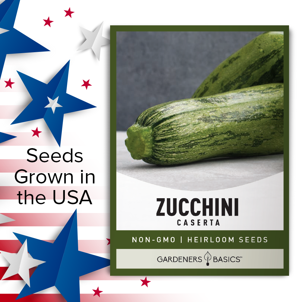 Your Garden's Secret Ingredient: Caserta Zucchini Seeds for Planting