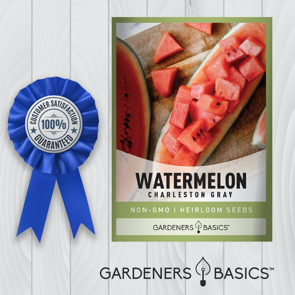 Charleston Gray Watermelon Seeds: A Classic Variety for Modern Gardens
