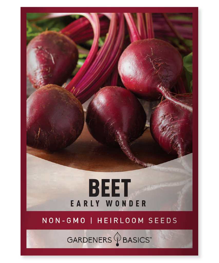 Early Wonder Beet Seeds Beet Seeds for Planting Organic Beet Seeds Non-GMO Beet Seeds High-Yielding Beets Nutritious Beets Vibrant Beets Container Gardening Fast-Growing Beet Seeds Garden Health Healthy Living Garden Must-Have