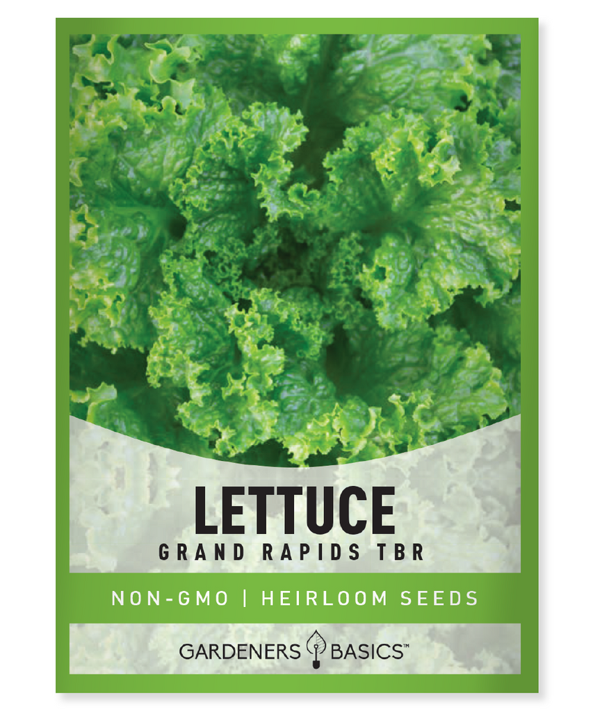 Grand Rapids TBR Lettuce Seeds heirloom lettuce seeds non-GMO lettuce seeds garden greens homegrown lettuce nutritious greens lettuce for planting high-yielding lettuce seeds fast-growing lettuce disease-resistant lettuce container gardening raised bed gardening garden-fresh salads salad greens nutrient-dense lettuce easy-to-grow lettuce gardening experience garden-to-table sustainable agriculture crisp lettuce